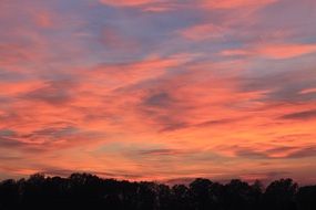pink sky in the sunset