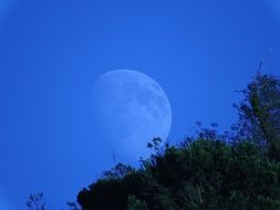 silhouette of moon in the blue sky over green trees