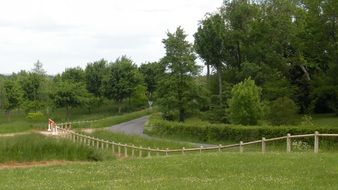 trees near a field in france