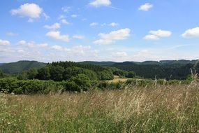 pure sky over summer landscape