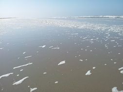 beach, surf, ocean