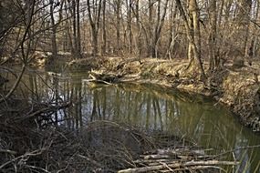 river basin reflection