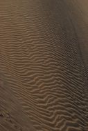 sand in desert in africa close up