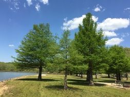 Green space in nature