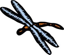 Colorful dragonfly as a clipart