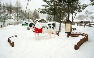 samyang ranch in winter