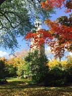 tall building in the autumn forest