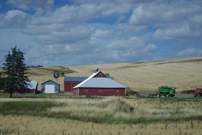 Landscape with the barn and the field