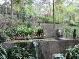 small Waterfall in the tropical garden