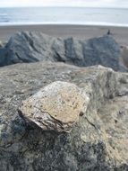 Rocks near the ocean