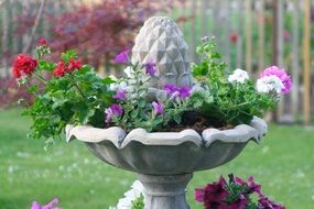 fountain petunia flowers