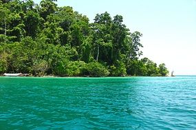 turquoise ocean water near the green coast