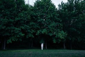 man hides under green trees