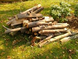 wood for the fire