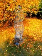 Yellow, orange and red trees in the beautiful autumn park