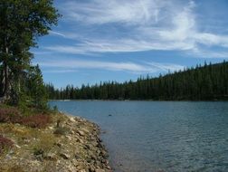 tranquil forest lake