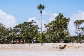 people on a tropical beach in season