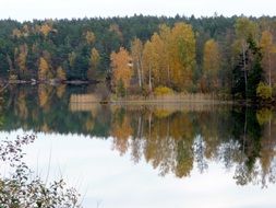 still lake in autumn