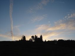 blue sky over the country forest