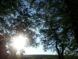 unusually beautiful evening sun