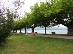 green alley along a lake constance in Germany