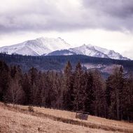 landscape of mountains and forest in late autumn