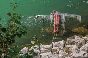 Shopping cart in a river