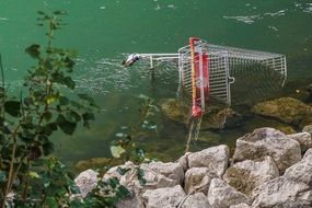 Shopping cart in a river