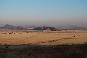 desert landscape top view