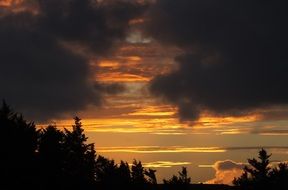 orange clouds on a dark sky above the trees