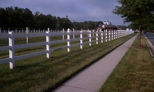 pasture horse farm