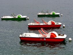 catamarans of different colors on the lake