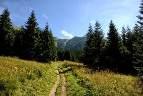 tourists valley koperszadÃ³w Tatry Slovakia landscape