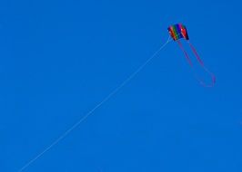 kite on the clear blue sky