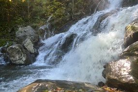 water stream over stones in the forest