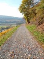 country road along the hills in autumn