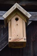 Wooden bird house