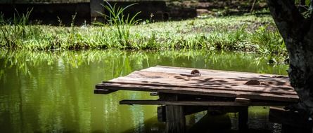 platform on the lake in the background of the picturesque coast