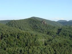 amazing kleiner rauhberg forest