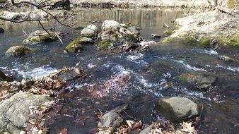 rapids in a stormy stream