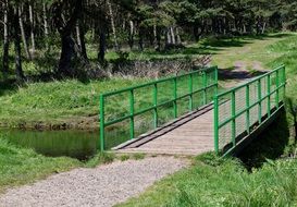 Bridge over the river in the forest on the landscape