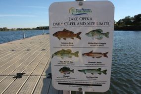 lake opeka daily creel and sixe limits poster