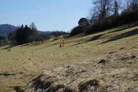 children play on field on a sunny day