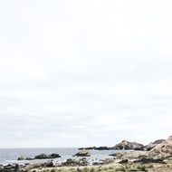 Landscape of the coastline
