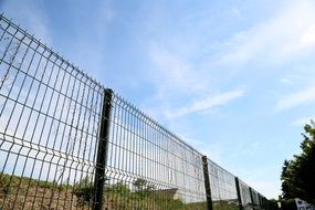 wire mesh fence