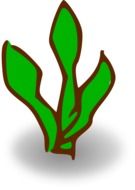 abstract plant, grass, green leaves, drawing