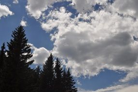 clouds trees nature sky blue