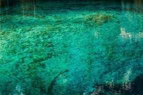 clear water in the lake