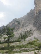 dolomites in the forest
