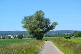 Path Road in green fields sky view